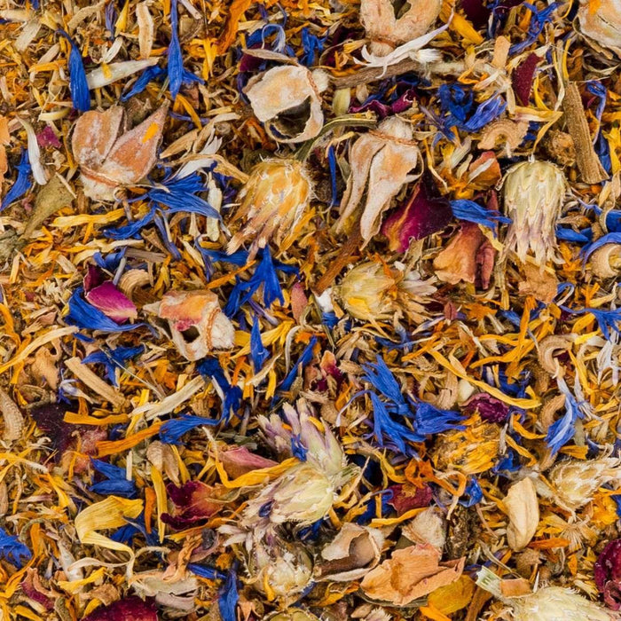 JRFARM Casa de cartão c/ flores - PETTER