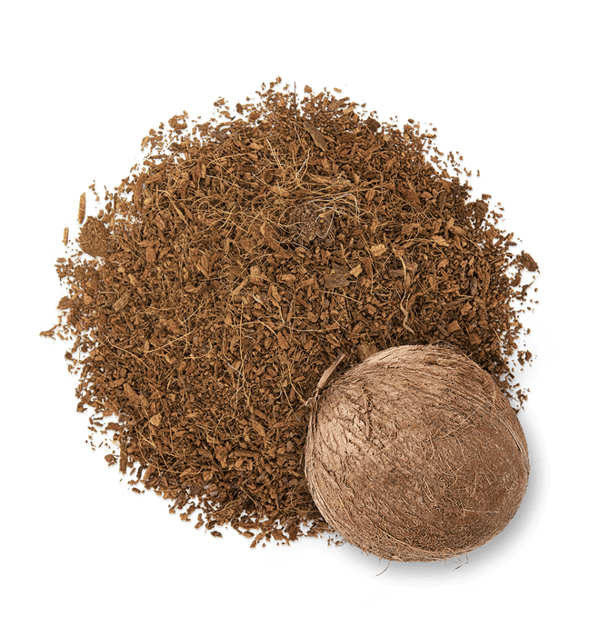 Fibra de côco | substrato vegetal para gatos, coelhos e répteis