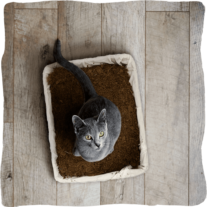 Fibra de côco | substrato vegetal para gatos, coelhos e répteis