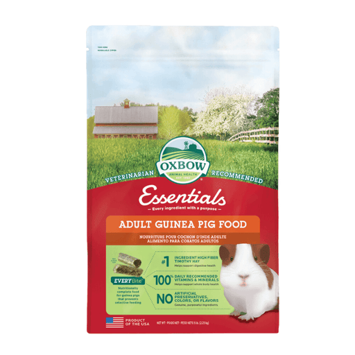 Oxbow essentials guinea pig (Porquinho da Índia Adulto) - PETTER