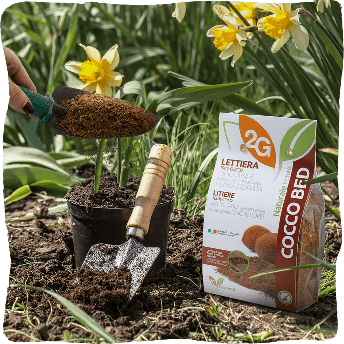 Fibra de côco | substrato vegetal para gatos, coelhos e répteis