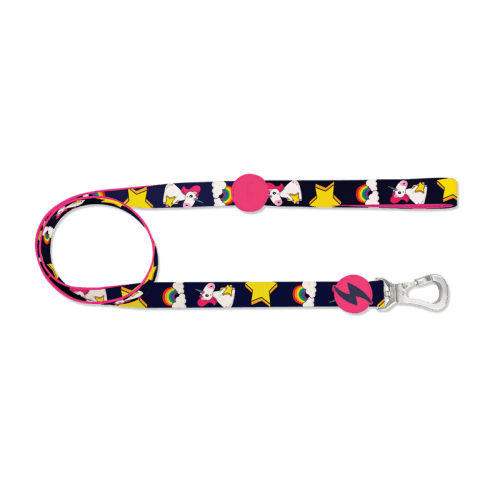 DASHI™ UNICORN LEASH - PETTER