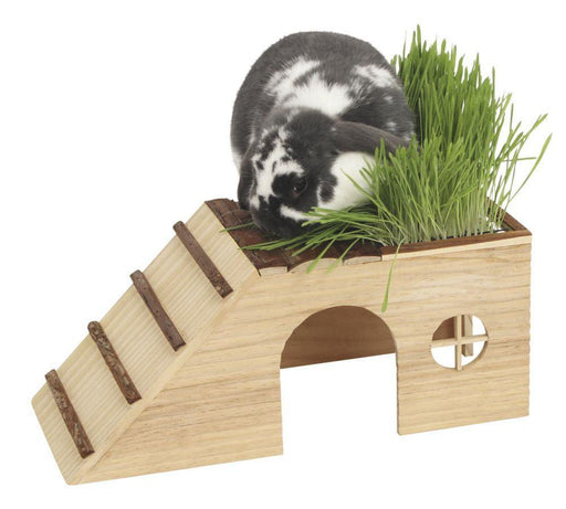 Casinha de madeira c/ rampa - PETTER