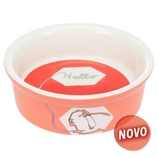 Gamela / Taça em cerâmica " Hello comic" para coelhos - PETTER