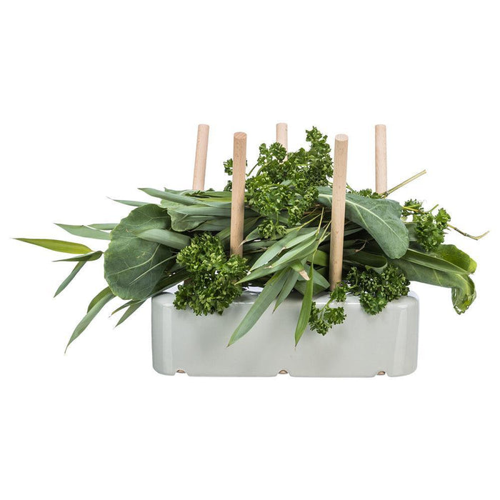 Porta Alimentos com base cerâmica e madeira - PETTER