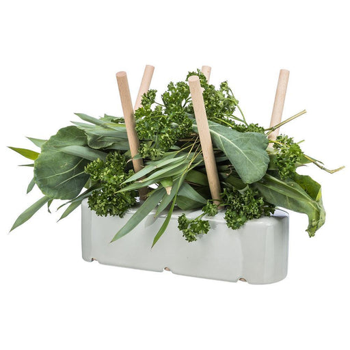 Porta Alimentos com base cerâmica e madeira - PETTER