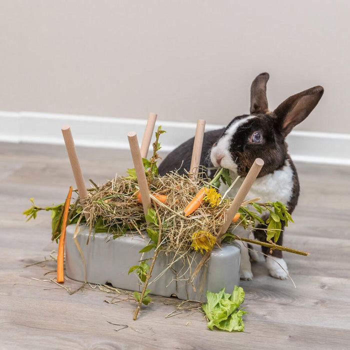 Porta Alimentos com base cerâmica e madeira - PETTER