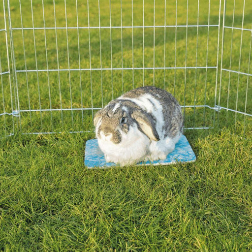 Placa de arrefecimento para pequenos animais - PETTER