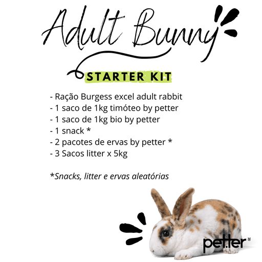 Adult bunny starter kit - PETTER