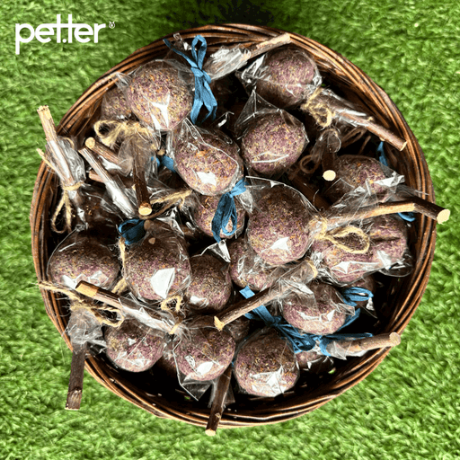 Wonderpop 🍭BY PETTER - PETTER