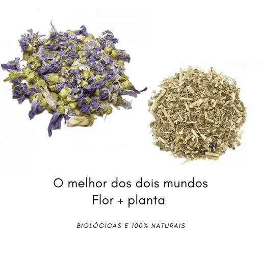 Malvas by PETTER - PETTER