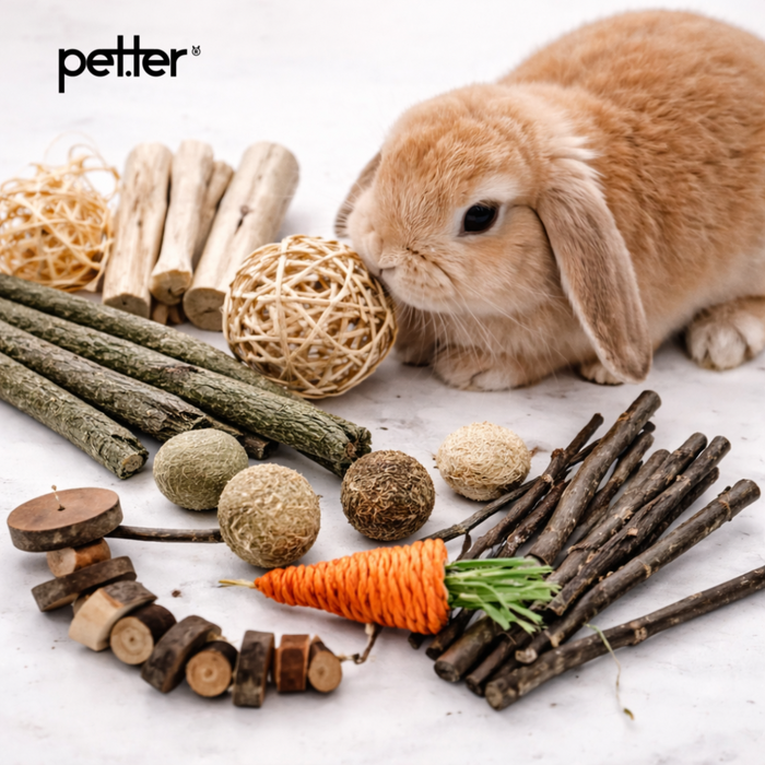 Snack & Play BY PETTER (PRÉ-RESERVA)