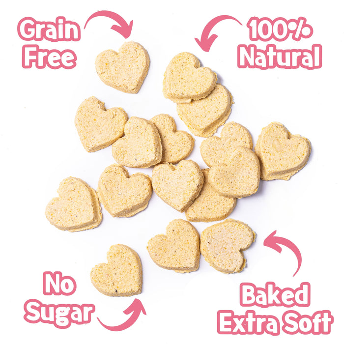 Biscoitos Cake-Bix para Cães Sabor Bolo de Aniversário 100 g