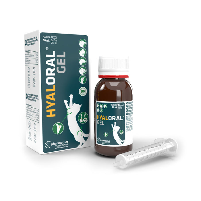 Hyaloral Gel – Suporte Articular (50 ml)