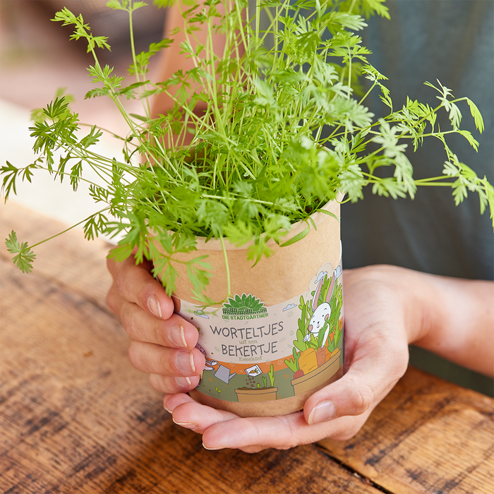 Rama cenoura 🥕 no copo