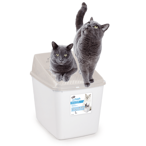 All for Paws Go Fresh No Mess – WC com Entrada Superior para Gatos, Cinzento