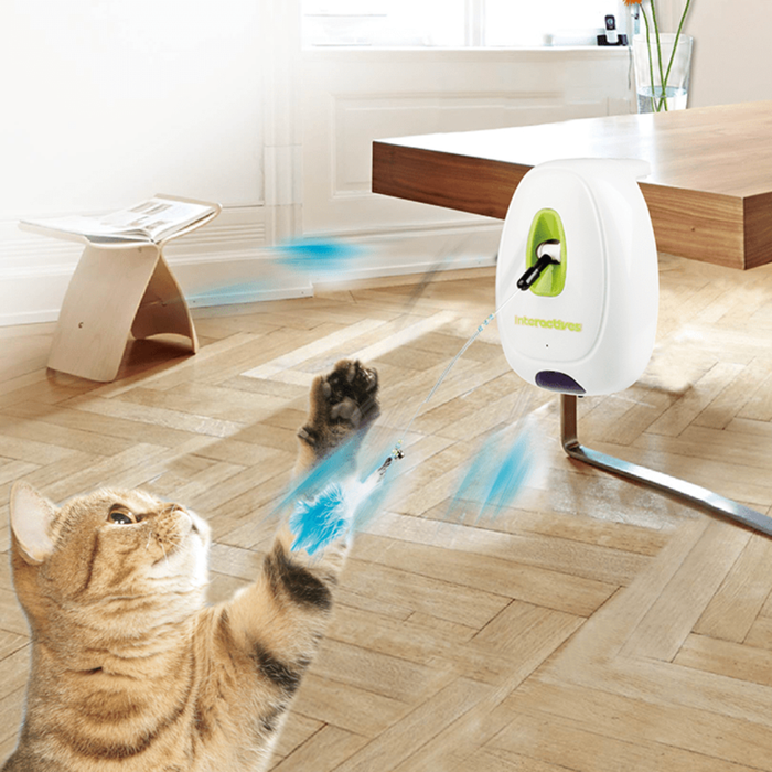 All for Paws Jumping Wand – Brinquedo Interativo Automático para Gatos