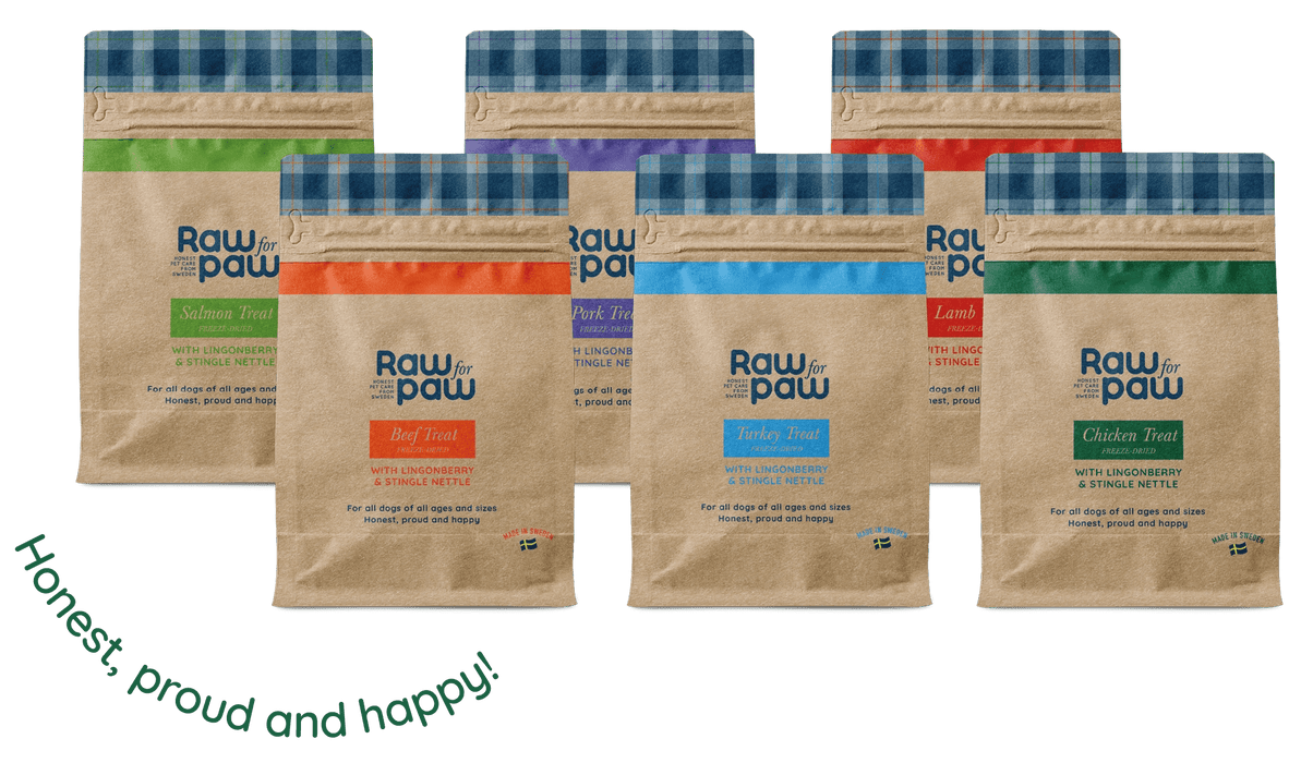 Raw For Paw Snack Liofilizado para cães 50gr - PETTER