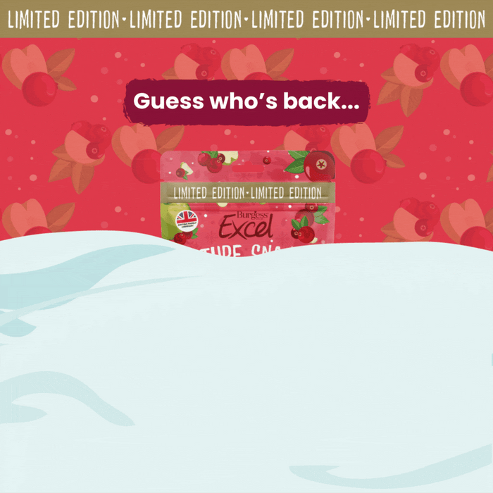 Burgess excel Winter Berry Bakes (limited edition) 60gr