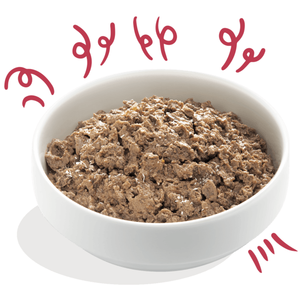 Edgar Cooper Bio Oorganic Wet food For Adult/Puppy Dogs 100 gr (+opções) - PETTER