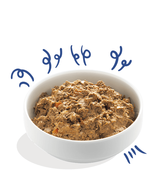 Edgar Cooper Wet food For Adult/Puppy/Senior Dogs 150 gr (+opções) - PETTER