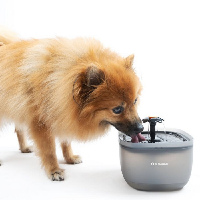 Flamingo Fonte Automática Flowie 2 L para Gatos e Cães – Preta