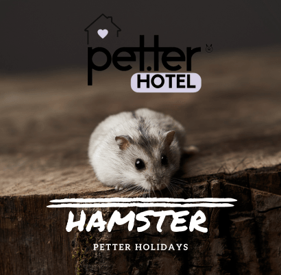 Estadia Hamster - PETTER