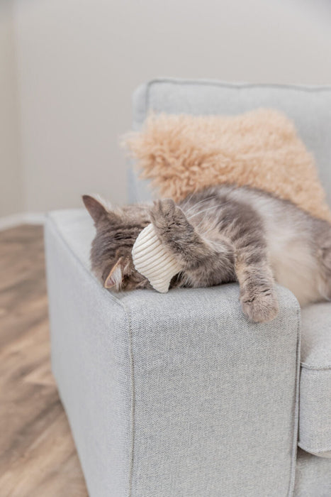 Cabeça de gato com catnip para gatos Trixie 7 cm – imagem 2