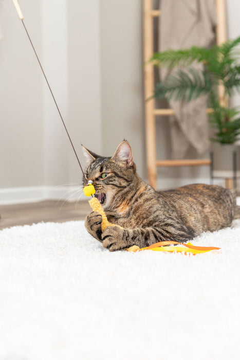 Bastão em madeira com franjas para gatos Trixie 40 cm – imagem 5