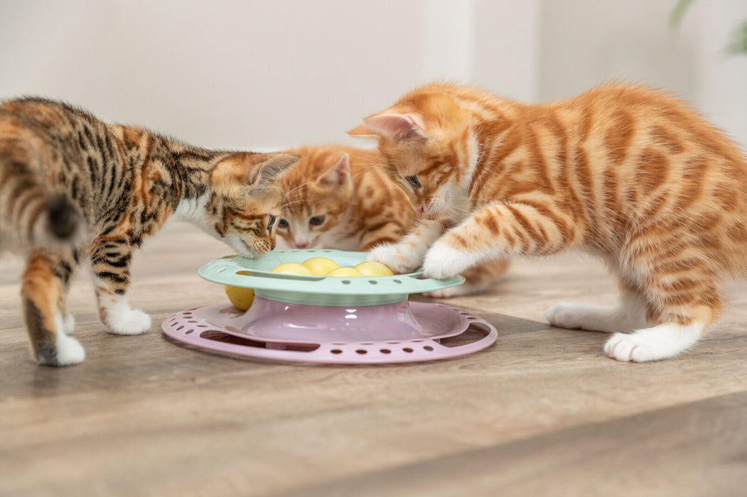 Junior Kitten Circle com bolas para gatos Trixie ø 24 cm – imagem 2