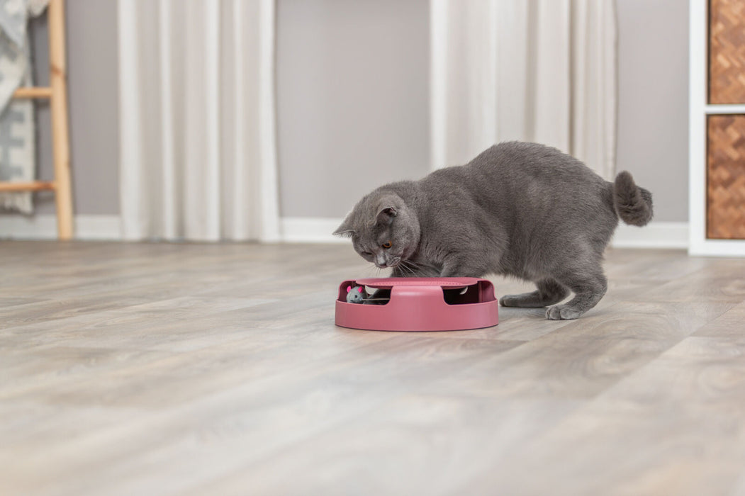 Jogo de estratégia Catch the Mouse para gatos Trixie ø 25 × 6 cm – imagem 3