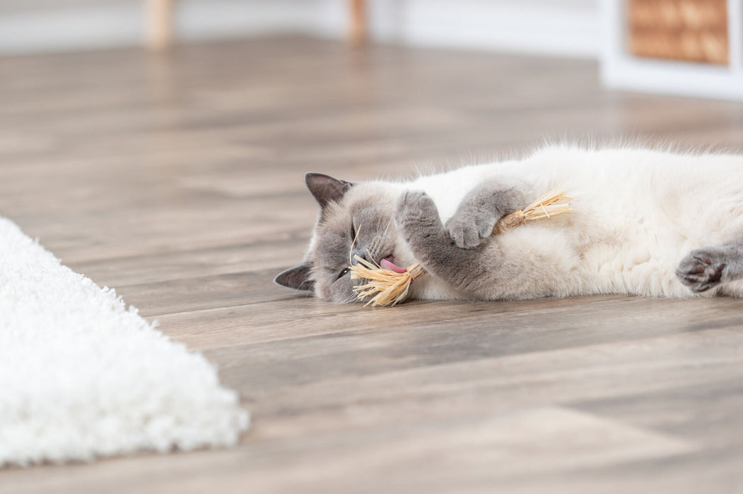 Stick de matatabi com franjas para gatos Trixie 24 cm – imagem 4
