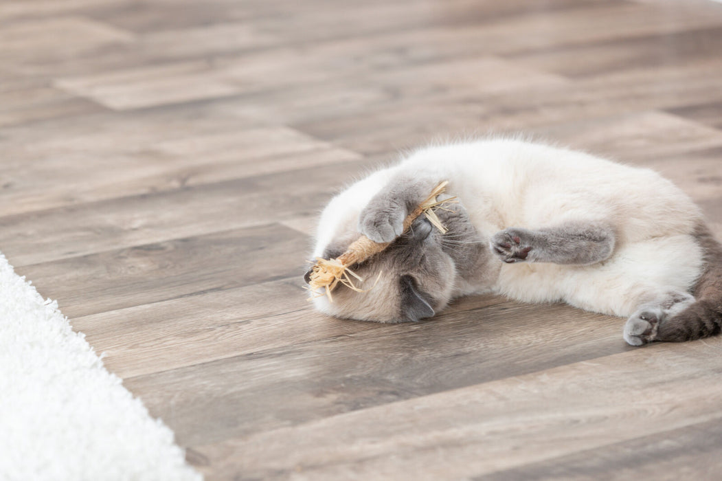 Stick de matatabi com franjas para gatos Trixie 24 cm – imagem 3