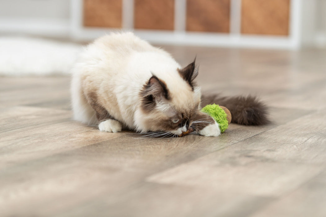Chupa-chupa XXL de matatabi com bola de catnip para gatos Trixie 13,5 cm – imagem 3