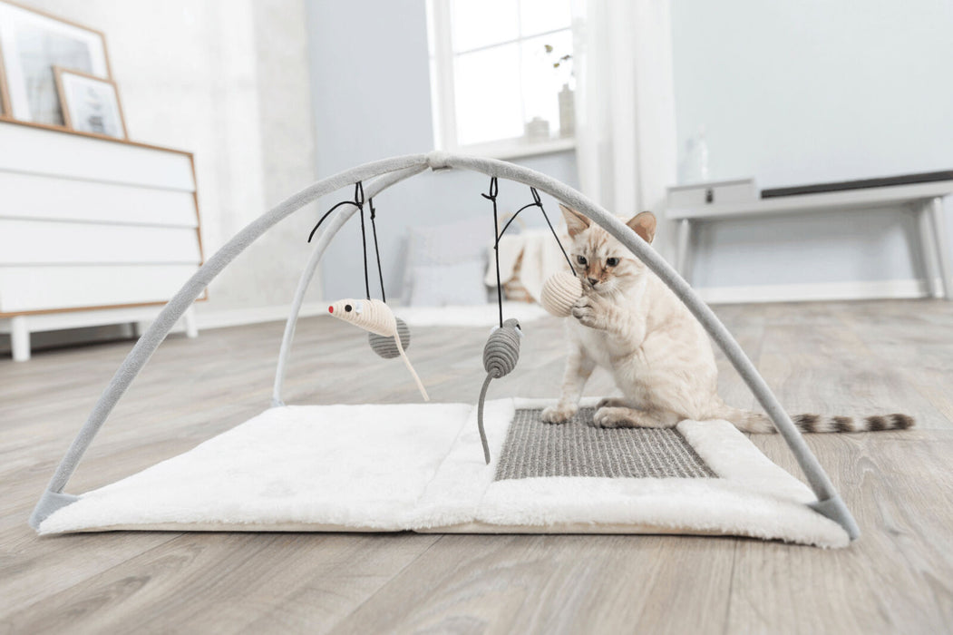 Tapete arranhador e de brincar Junior para gatos Trixie 60 × 33 × 42 cm – imagem 4