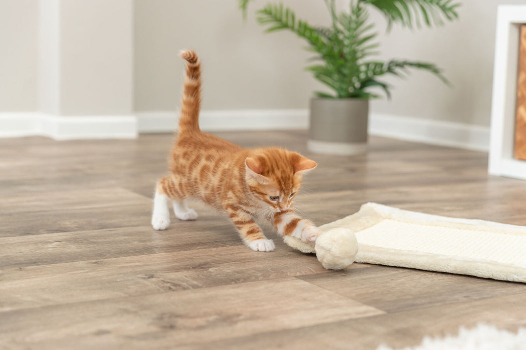 Tapete arranhador para gatos Trixie 55 × 35 cm – imagem 5