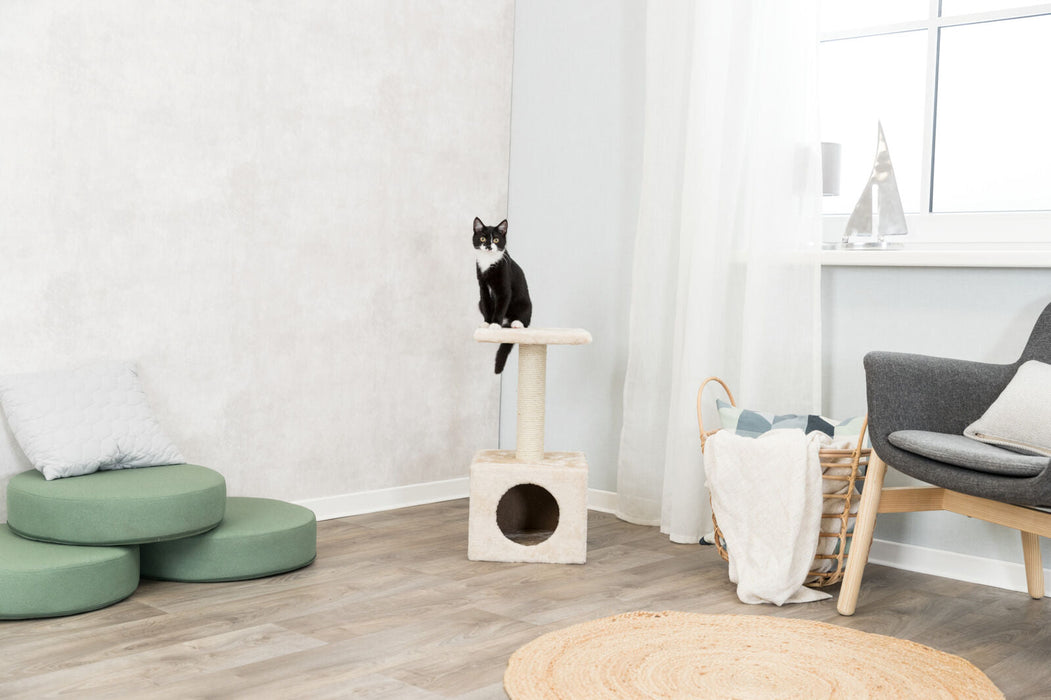 Arranhador Zamora para gatos Trixie 60 cm – imagem 8