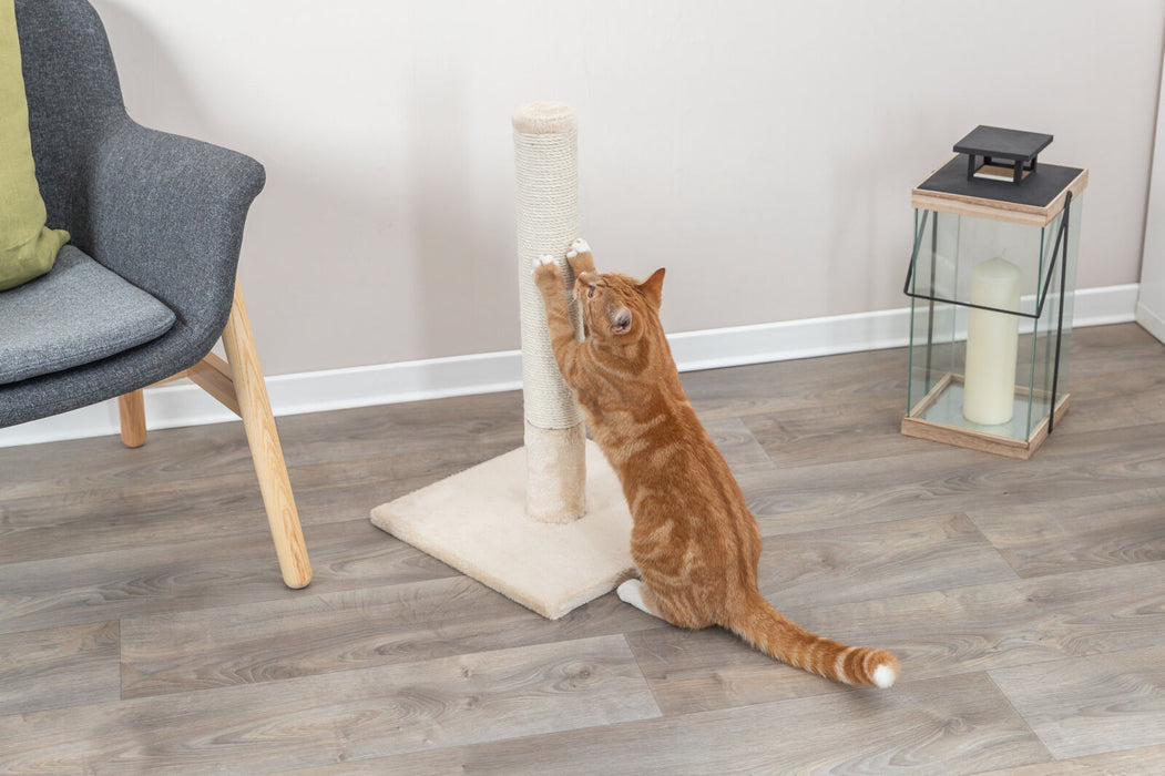 Poste arranhador Batres para gatos Trixie 62 cm – imagem 4