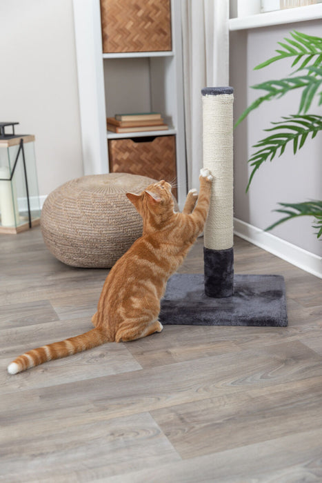 Poste arranhador Batres para gatos Trixie 62 cm – imagem 7