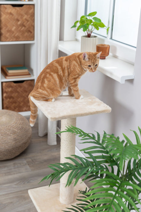 Poste arranhador Baena para gatos Trixie 69 cm – imagem 4
