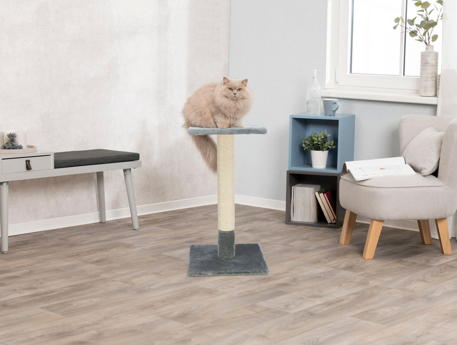 Poste arranhador Baena para gatos Trixie 69 cm – imagem 6