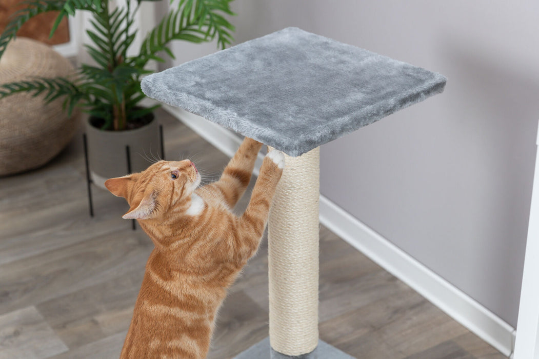 Poste arranhador Baena para gatos Trixie 69 cm – imagem 7