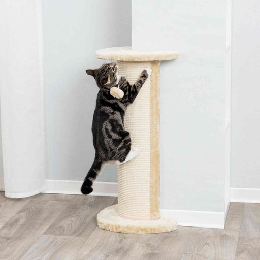Coluna arranhadora de canto Lorca para gatos Trixie 75 cm – imagem 2