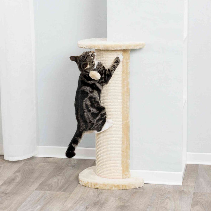 Coluna arranhadora de canto Lorca para gatos Trixie 75 cm – imagem 2