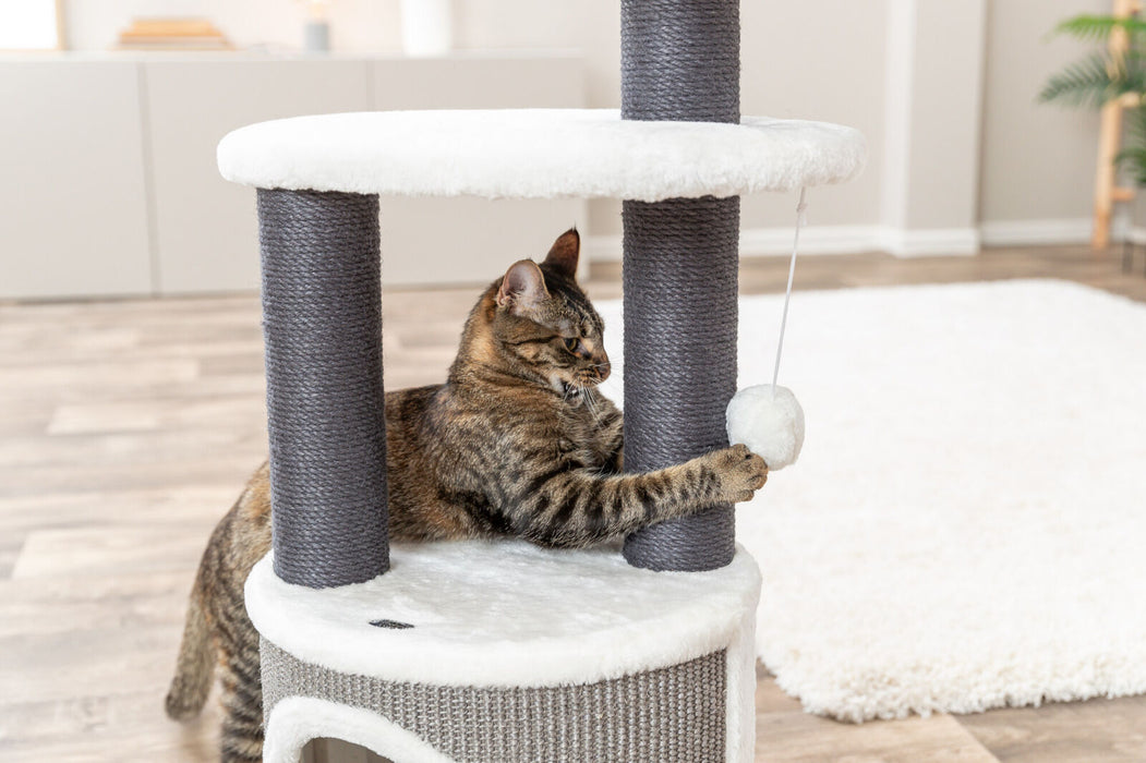 Arranhador Marco para gatos Trixie 85 cm – imagem 4