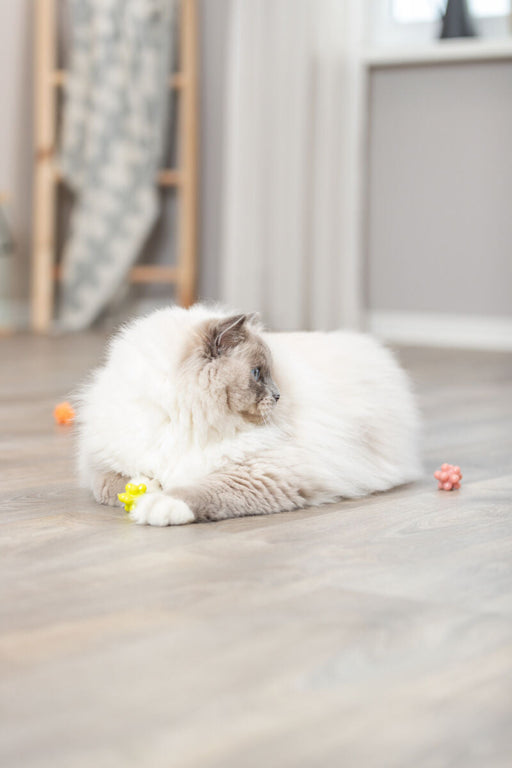 Conjunto de bolas com picos (4 unid.) para gatos Trixie ø 3,5 cm – imagem 2