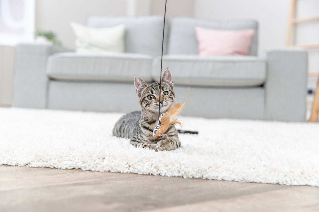 Bastão em madeira com coração de peluche e catnip para gatos Trixie 50 cm – imagem 3