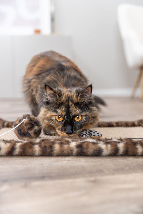 Tapete arranhador Leo para gatos Trixie 55 × 35 cm – imagem 7