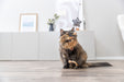 Bastão com estrela de peluche e catnip para gatos Trixie 50 cm – imagem 3