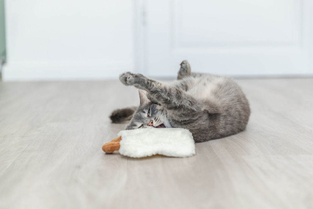 Ovo estrelado XXL com catnip dos EUA para gatos Trixie 18 cm – imagem 3